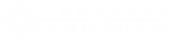 Vadstena-Lasermarkning-Ny-logga.png